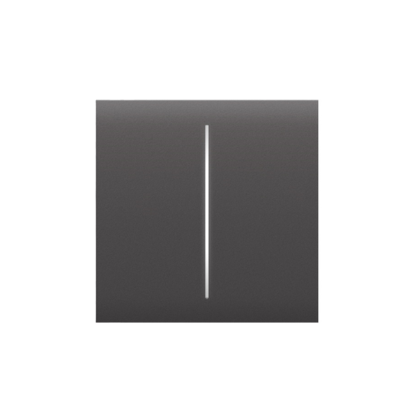 Center Button (2-Gang) Grey Button AJAX